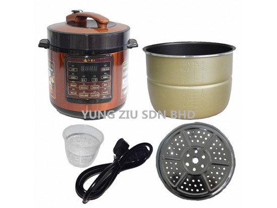 LB-A100#6L PRESSURE COOKER 1000W(XIAOBAWANG)